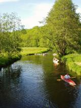Bild: mehr Landschaft