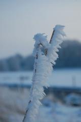 Bild: Landschaftsbilder Michael Wieck