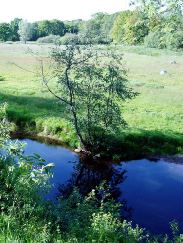 Bild: Landschaft