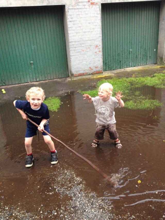 Bild: Vogelschie&szlig;en 2014