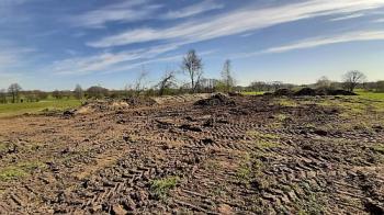 Bild: Der neue Knick an der Auwiese