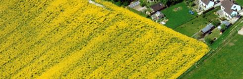 Bild: Alternating Items