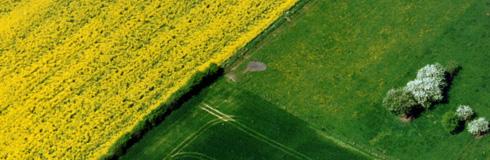 Bild: Alternating Items